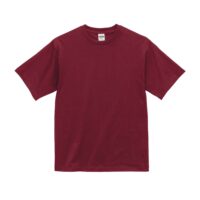 【1100-01】6.5ozファインジャージー Tシャツ - 画像 (15)