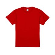 【5001-01】5.6oz ハイクオリティー Tシャツ - 画像 (43)