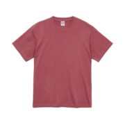 【5001-01】5.6oz ハイクオリティー Tシャツ - 画像 (113)